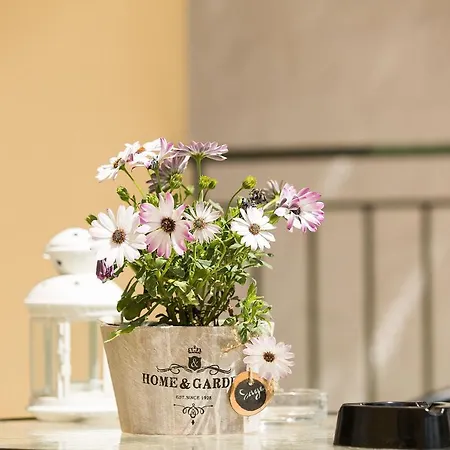 Apartament Fotini's House *