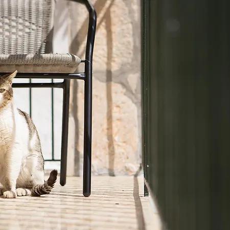 Fotini's House Apartament Ýpsos