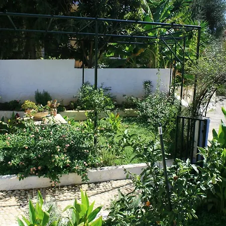 Apartament Fotini's House *